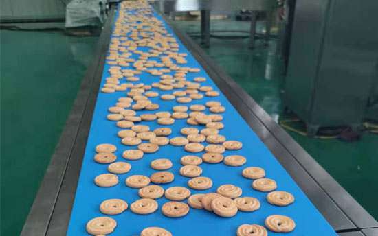 Straight Biscuit cooling conveyor
