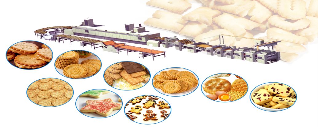 Large Biscuit Production Line