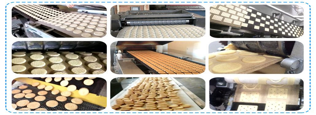 Large Biscuit Production Line