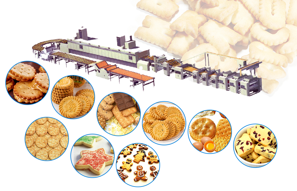 Hard And Soft Biscuit Production Line