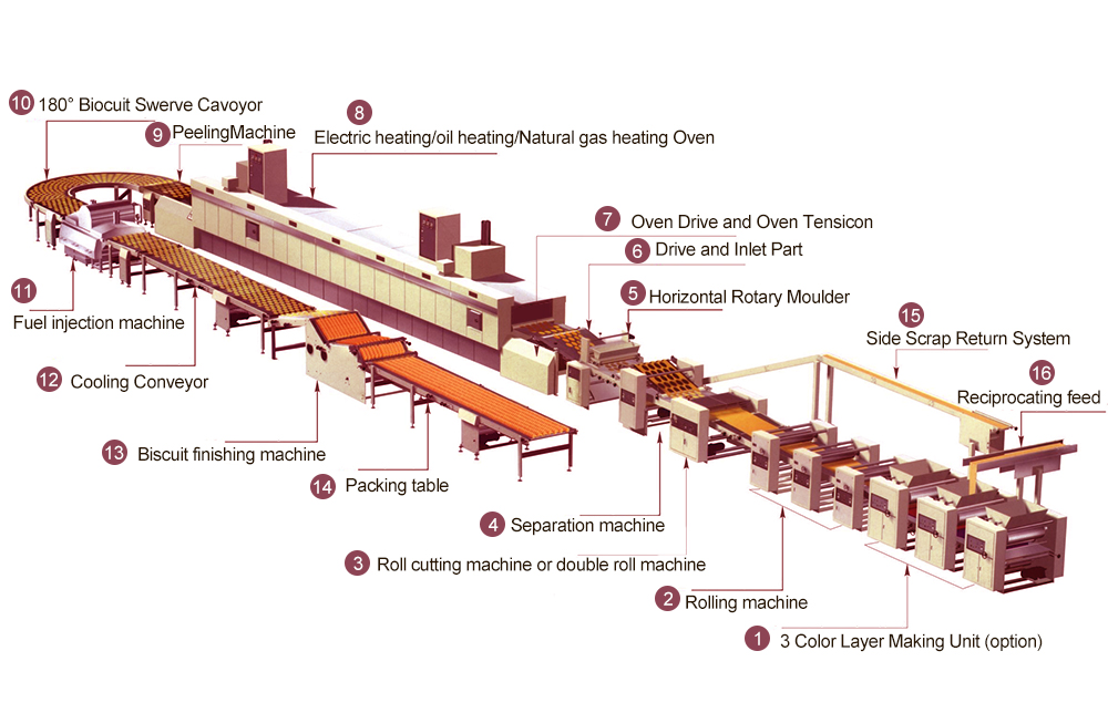 500kg/h bear biscuit production line layout
