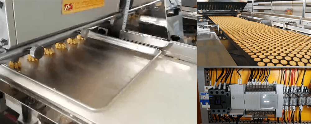 Biscuit processing line in detail
