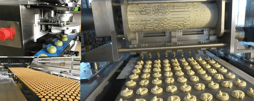 Biscuit Machine details