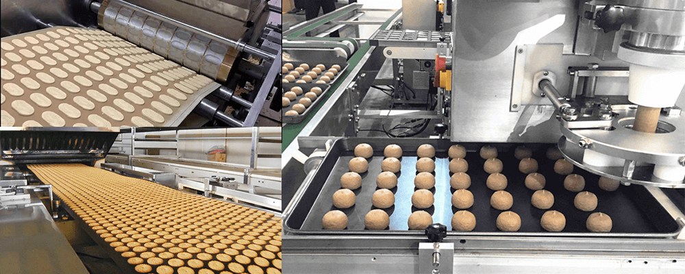 Sakura Biscuit Production Line